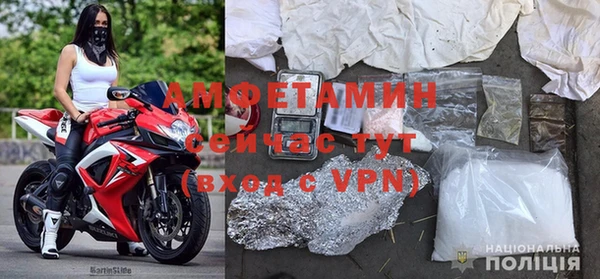 ГАЛЛЮЦИНОГЕННЫЕ ГРИБЫ Белоозёрский