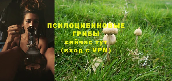 mdpv Беломорск