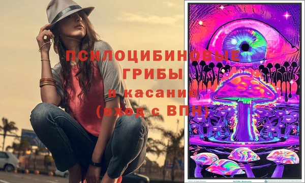 mdpv Беломорск